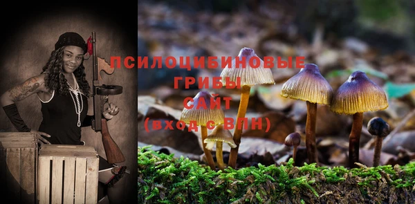 крисы Абинск